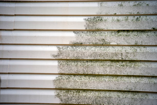 Best Custom Siding Design  in Duchesne, UT